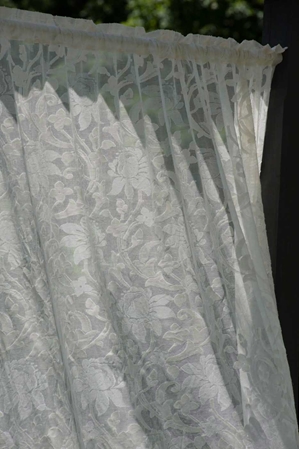 Kensington Madras Lace Curtain and Yardage 